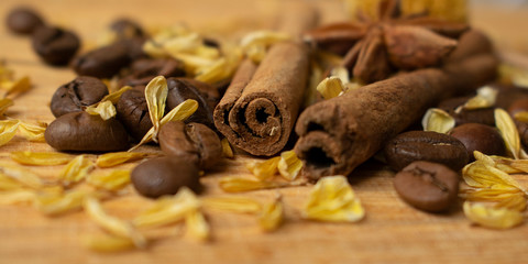 Spices and coffee seeds on the wooden background