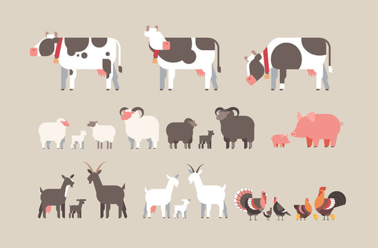 set farm animal cow goat pig turkey sheep chicken icons different domestic animals collection farming concept flat horizontal
