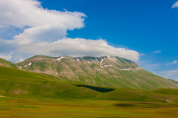 Fototapeta premium Plans Castelluccio in Italy