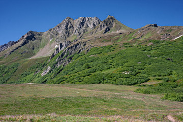 Fototapeta na wymiar Panoramic view of a mountain pasture in spring bloom