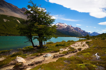 Vegetation on Andes foothills and slopes