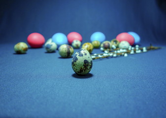 The image shows a quail egg on the background of other eggs and willow.