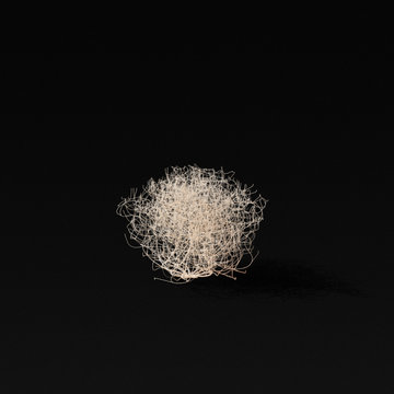 Tumbleweed plants still life with depth of field over dark background