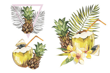 Coconut hand drawn sketch with Pineapple fruit. Watercolor tropical food illustration. Isolated on white background.