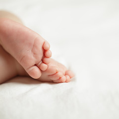Baby feet on white background with copy space