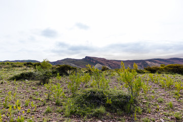 TORO TORO BOLIVIA Grand Canyon - gran cañón en el altiplano BOLIVIANO