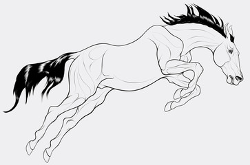 The stallion overcomes an obstacle in a powerful jump, craned its neck forward, laid his ears back. Linear Illustration of a running steed. Vector clip art and design element for equestrian goods.