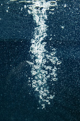 air bubbles in the dark water