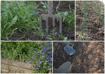 jardinage au printemps