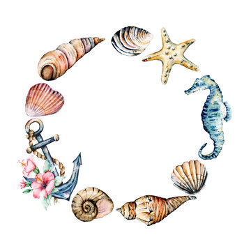 Seashells frame, border, marine scenery. Watercolor seahorse, starfish and other shells. Travel, beach design isolated on white background. Hand drawing. 