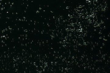 air bubbles in the dark water