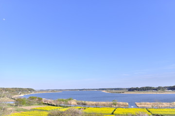 手賀沼 一望 青空 千葉県 柏 我孫子 沼南3