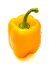 Yellow paprika