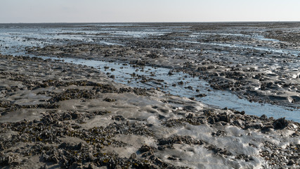 Im Watt vor der Insel Neuwerk