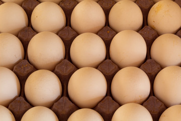 Many white chicken eggs on cardboard and with shadows