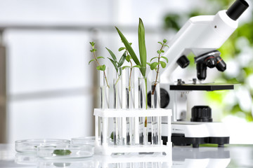 Laboratory glassware with different plants and microscope on table against blurred background....