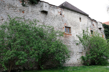 Fototapeta na wymiar Stadtmauer Wels