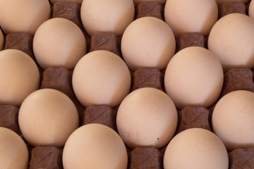 Many white chicken eggs on cardboard and with shadows