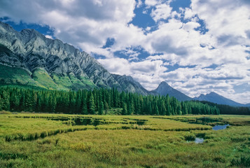 Fototapeta na wymiar Marsh and Opal Range, Peter Loughheed Provincial Park, Kananaskis Country, Canada