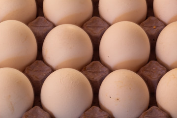 Many white chicken eggs on cardboard and with shadows
