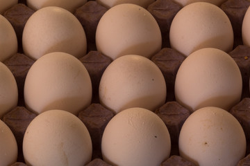 Many white chicken eggs on cardboard and with shadows