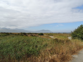 landscape with blue sky and clouds