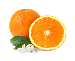 Ripe oranges, leaves and flowers on white background. Citrus fruit