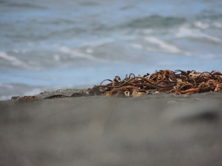 beach and sea