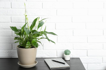 Composition with peace lily and notebook on table against brick wall. Space for text