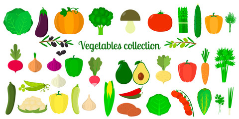 Set collection of vegetables and greens, mega icons set of thirty eight elements on white background. For your design of cards, scrapbooking, crafting. Flat design, vector illustration
