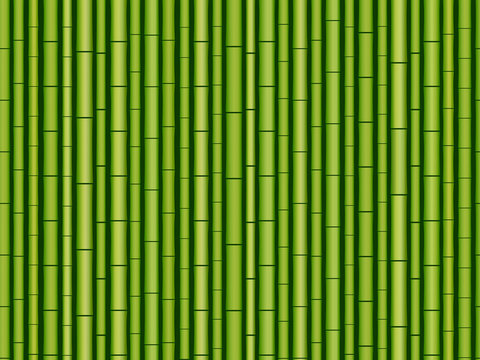 Horizontal seamless bamboo background. Vector illustration. Exotic green bamboo pattern with branches and leaves