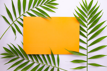 Tropical palm leaves pattern on orange background.  Flat lay, top view