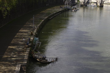Obraz premium Relic in Tevere, Rome, Lazio, Italia