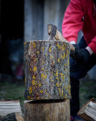 Chopping stumps with an ax for firewood. Firewood for heating. A cleaver for chopping wood splits a dry stump. A man chops wood with an ax.