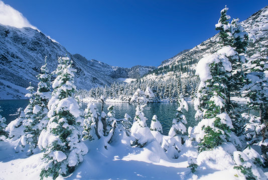 Fresh snow covers trees around Bertha Lake after late autumn snowfall, Waterton National Park, Canada