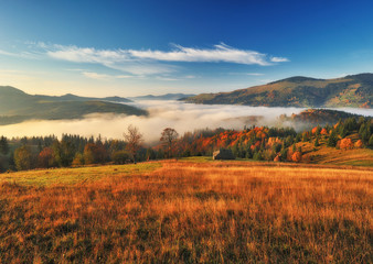autumn morning. foggy sunrise in the Carpathian mountains. picturesque morning