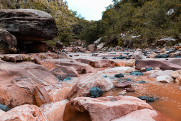  eroded rocks vegetation