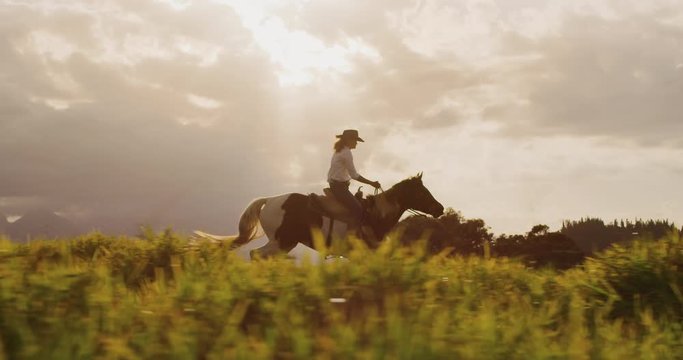 Amazing slow motion horseback riding at sunset, cowgirl riding fast through green fields, horse galloping