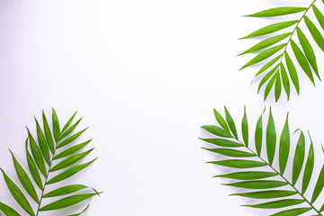 Naklejka na ściany i meble Pattern of tropical green leaves on white background. Flat lay, top view