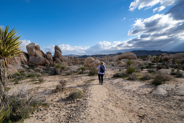 Fototapeta premium Young woman female hiker wearing a backpack starts off on a hiking trail in Joshua Tree National Park, to the Arch Rock