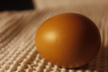 egg dish white
