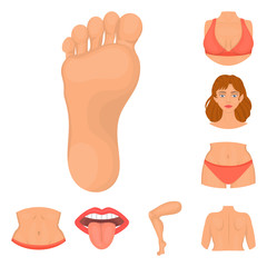 Vector illustration of body and part logo. Collection of body and anatomy stock vector illustration.
