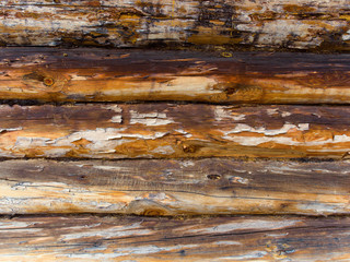 texture of the wall of logs burned by the sun