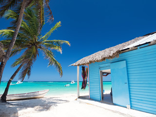 Typical caribbean house near Atlantic ocean beach with coconut palm tree - obrazy, fototapety, plakaty