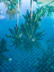 Fototapeta na wymiar reflection palm trees in the blue pool.Koh Phangan. Thailand.