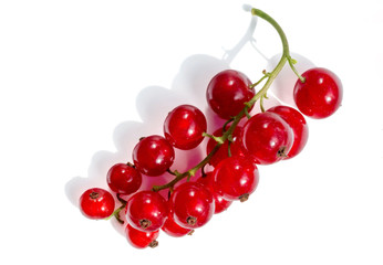 A bunch of red currant isolated on white background.