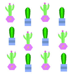 Fototapeta premium Vector illustration. Colorful pattern with cactuses. White background. 