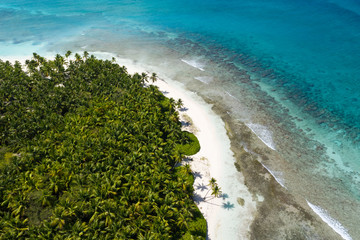 Aerial view from drone on tropical island with coconut palm trees and caribbean sea