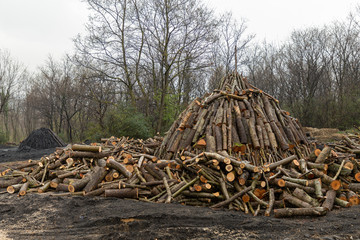 the making of charcoal, Istanbul, Turkey