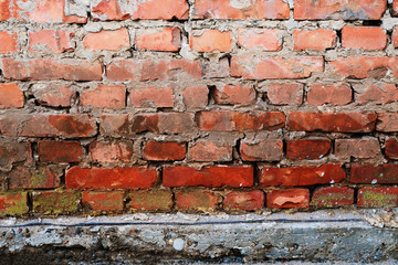 Brick wall background with concrete slub beneath